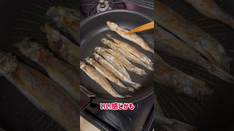 旬のししゃもをフライパンで焼いて食べる #ししゃも #つまみ