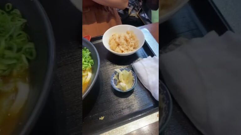 天ぷらカレーうどん