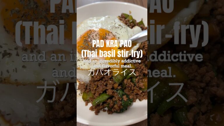 PAD KRA PAO (THAI BASIL STIR-FRY) RECIPE ガパオライスレシピ 🌿