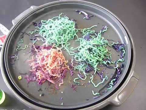 ３色の焼きそば