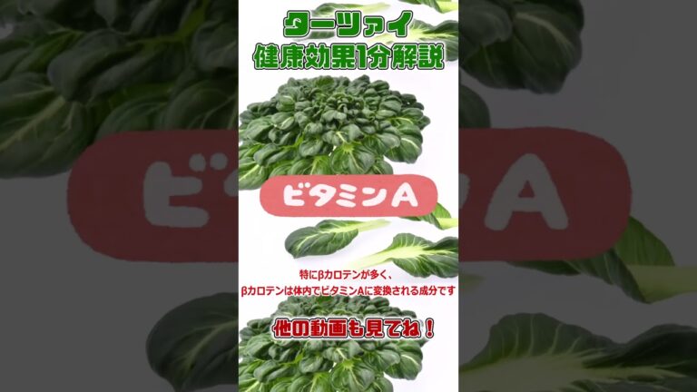 【ゆっくり解説】ターツァイの栄養を1分で解説 #shorts