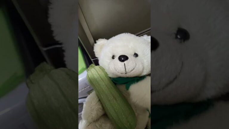 牛こま肉とズッキーニの炒め煮(Stir-fried Beef with zucchini)