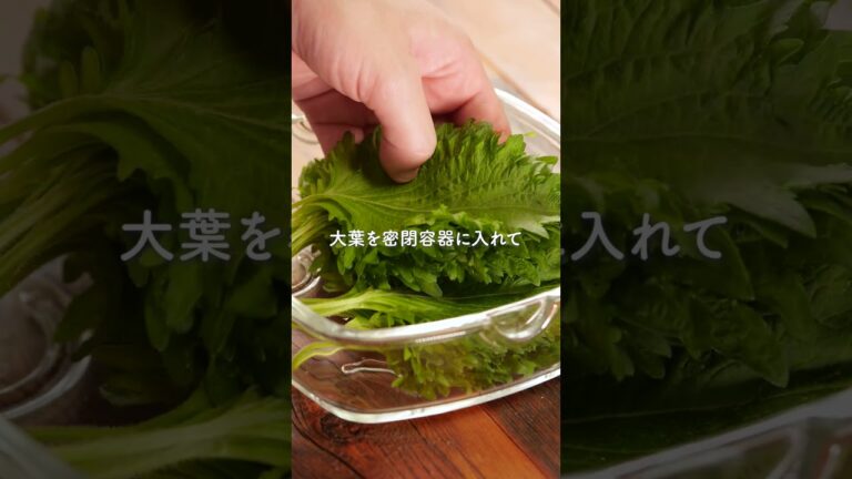 やみつき大葉漬け