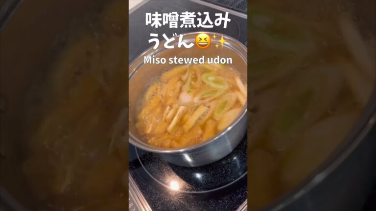 【一皿100円】超簡単に自宅で作れちゃう味噌煮込みうどん！