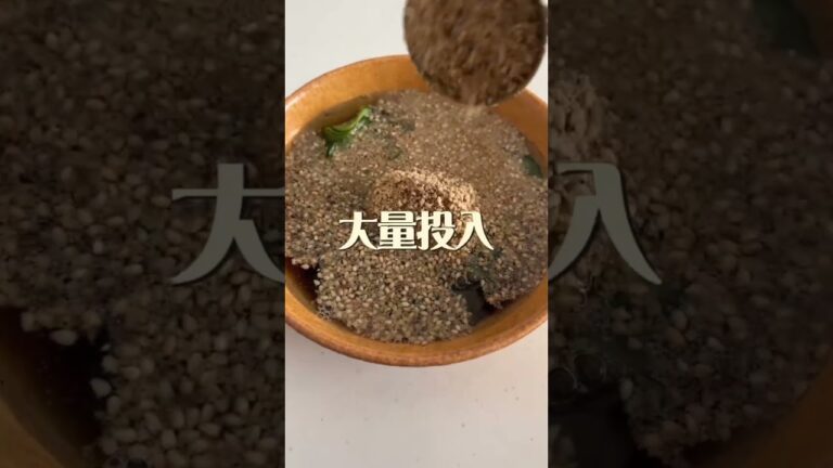 辻ちゃんが作ってた、ごまだれです！分量はざっくりだったので、妻がこんな感じかな？ってレシピ化してくれまして✍️#妻のご飯が美味すぎる #おうちごはん #料理 #そうめん #レシピ #shorts