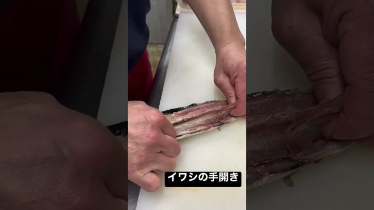 #魚の捌き方シリーズ #イワシの手開き