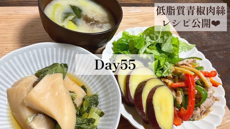 【DietVlog】Day55カロリー内でアイスも楽しむ　低脂質レシピ公開❤︎