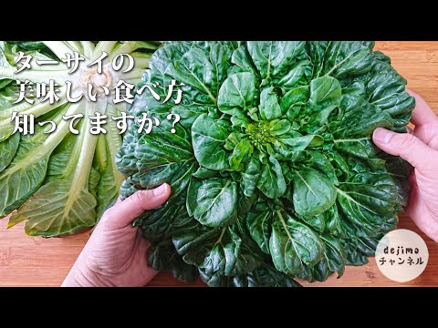 チンゲン菜が好きな人には激オススメ！！ターサイの中華あんかけの作り方。#スマート中華 #ターサイ #あんかけ