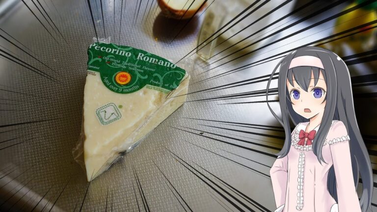 ペコリーノチーズを手にいれたので改めてアマトリチャーナビアンコを試す【short_007】