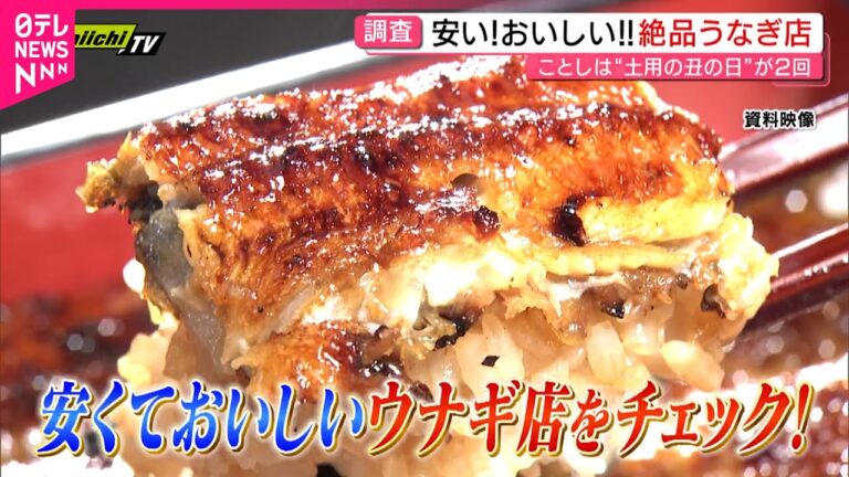 【絶品うなぎ】美味いのに安い！土用の丑に行きたい鰻店　静岡　NNNセレクション