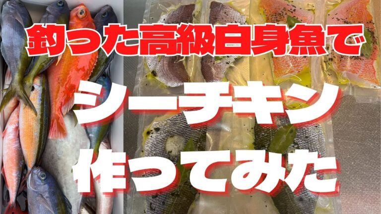 【調理】釣った高級白身魚でシーチキンを作ってみました♪