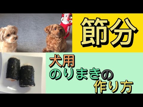 犬用のりまきの作り方！ 節分豆あげてみた！ 手作りのりまきをあげてみた！