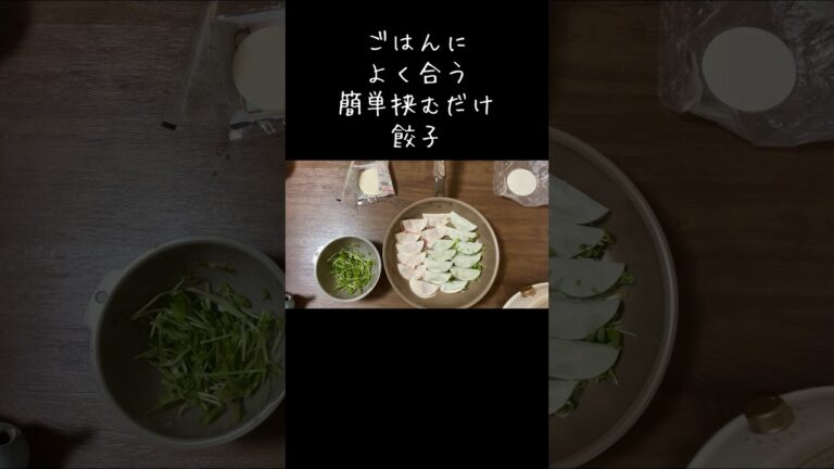 簡単夜ごはん／挟むだけ餃子で節約レシピ