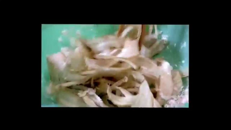 お弁当今日の一品 山芋の甘辛ごぼう巻き