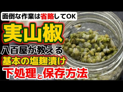 八百屋が教える下処理・保存方法【実山椒の塩麹漬け】初めてでも安心！面倒なしの簡単基本工程！さんしょう下ごしらえレシピ‼・サンショウの実・作り方・食べ方・漬け方・塩漬け・あく抜き・茹で方・さらし方
