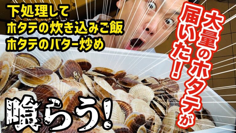 【美味！】大量のホタテが我が家に届いた！【稚貝の下処理】