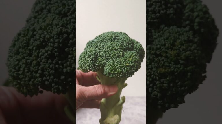 レンジで簡単温野菜  スチームジップバッグ【100円ショップDAISOの便利グッズ】