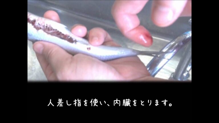 【調理実習】いわしの手開きのしかた【デジぺん】