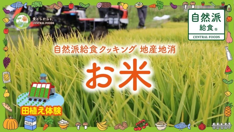 【自然派給食 地産地消 お米】 岡山県鏡野町であきたこまちの田植えを見学〜自然派給食クッキング 岡山県の地産地消食材「お米」のご紹介！