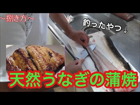 【家庭で再現】　鰻屋さん激ウマ蒲焼の作り方‼︎