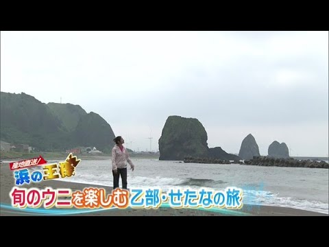 旬のウニ巡り！乙部・せたなでグルメ旅【どさんこワイド179】 2025-07-17
