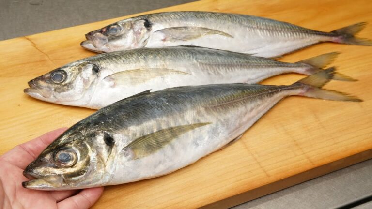 アジの背開きとアジフライの作り方