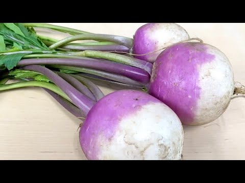 カブ/あやめ雪カブ〈野菜の食べ方＆調理方法〉by食育マルシェおうち便