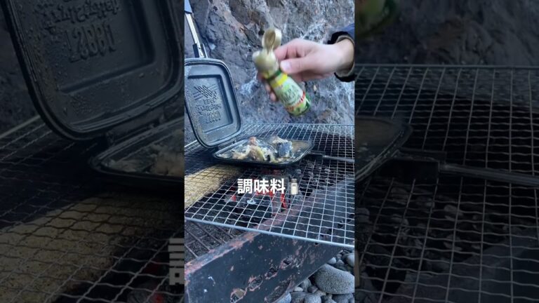 【サバ缶レシピ】独女の限界キャンプ🏕クッキング🍳料理研究家リュウジのバズレシピをホットサンドメーカーで作ってみた#shorts