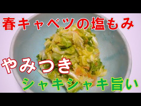 【今が旬】春キャベツの塩もみ　やみつきの味