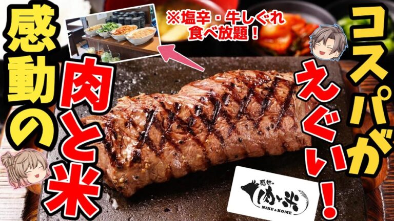 【コスパ最強】一番安くて一番旨いステーキチェーンを徹底解説！【ゆっくり解説】