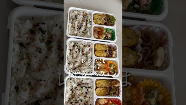 【ささみのコロコロ弁当】