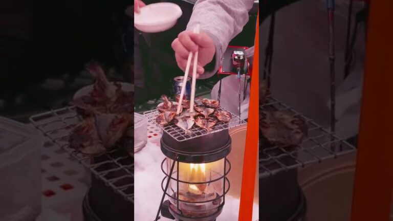今日のキャンプ飯‼️【鯵のみりん干し】#Shorts