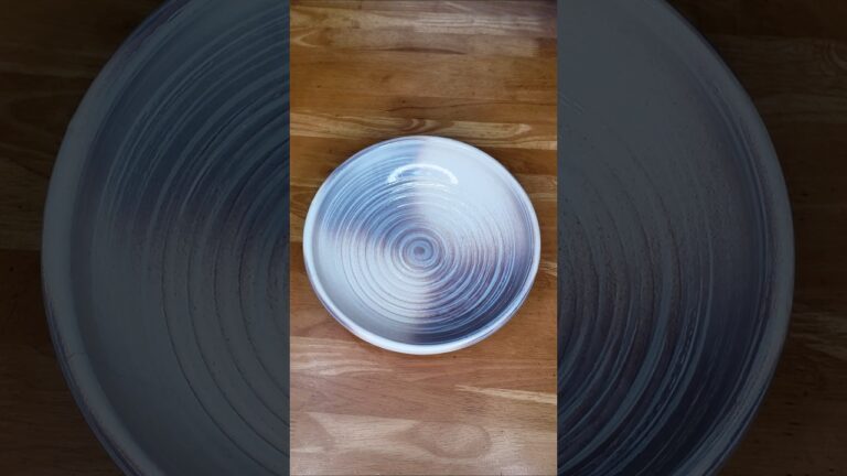 チキンのトマト煮