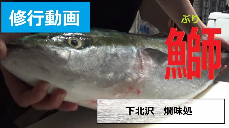 【燗味処】＃1 1  師走といえばブリ！８キロアップ【修行動画】