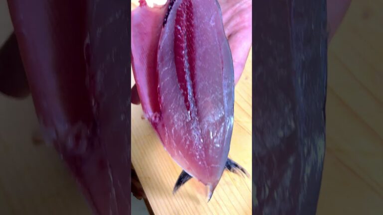 幻の魚！ヤイトガツオの土佐たたき #shorts #鰹 #bonito