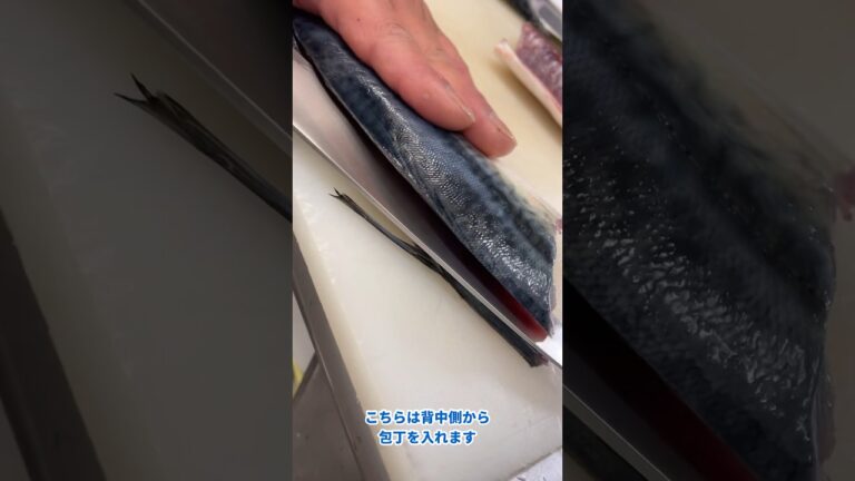 初心者の方必見！サバの三枚おろし　#魚 #捌き方 #fish