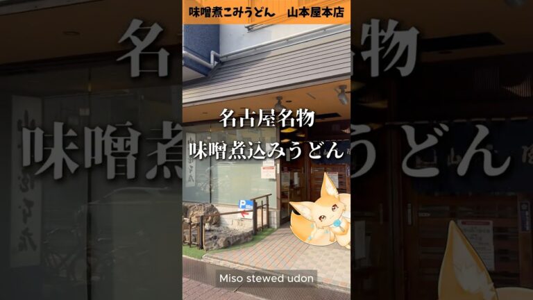 【飯テロVlog】名古屋名物 味噌煮込みうどん【山本屋本店】