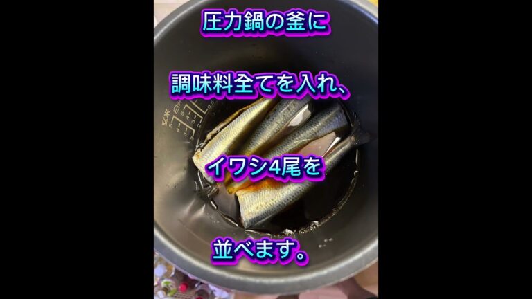 鰯の生姜煮🫚 #料理 #煮る #簡単レシピ