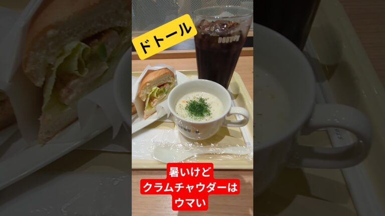 暑くてもクラムチャウダーは美味い #ドトール #ランチ #コーヒー #クラムチャウダー #shorts