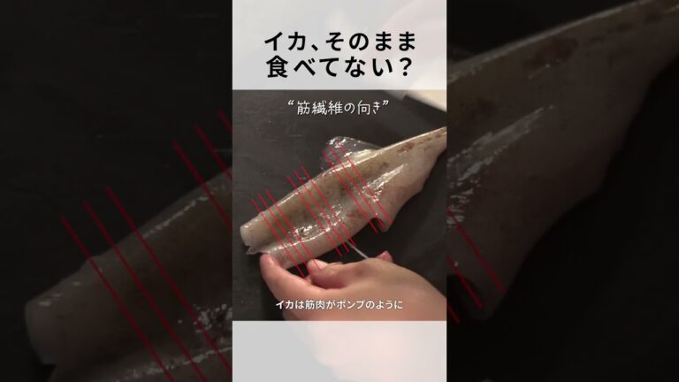 【いか】旨さのポイントは切り方？！一番美味しい調理＋下拵えの基本！