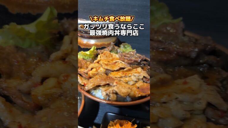 ガッツリ食うならここ 最強焼肉丼専門店