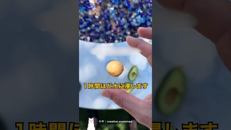 アボカドでお金持ちになる方法