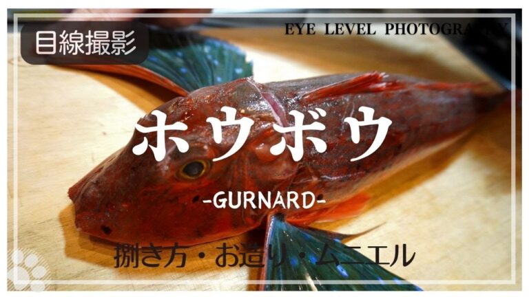 【簡単】「ホウボウ」でお刺身とムニエルの作り方。