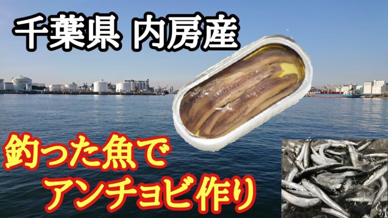【千葉ちゃんクッキング】釣ったイワシでアンチョビ作り 前編