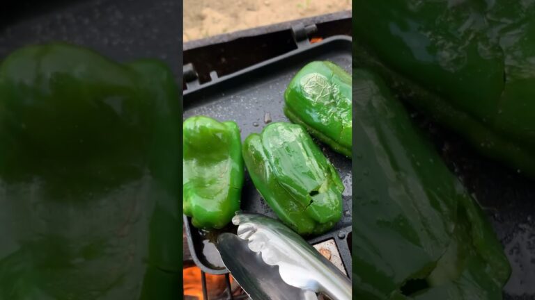 【簡単キャンプ飯】丸ごとピーマン焼き　ごま油と塩コショウのみ。　#shrots #camping #cooking #food