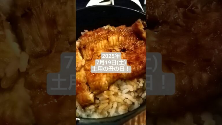 土用の丑の日うなぎを食べたよ！ #しあわせのまゆチャンネル #豊橋 #うなぎ #ひつまぶし