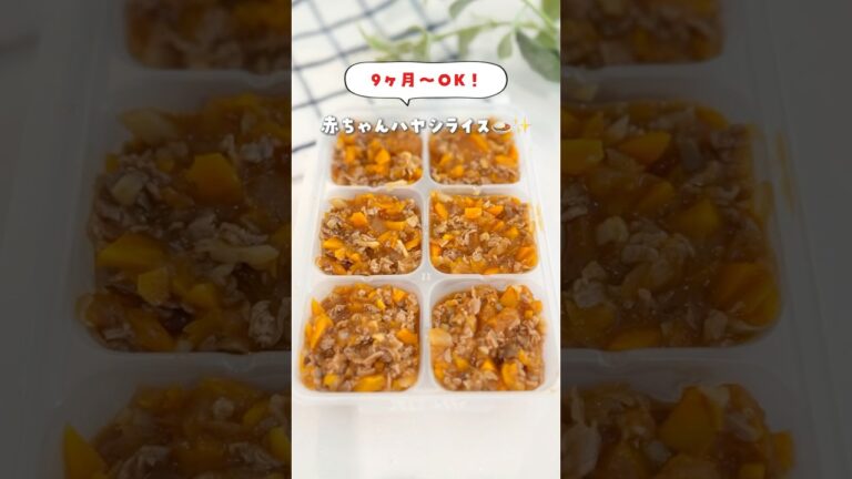 【離乳食】赤ちゃんハヤシライス🍅　レシピは👇 #離乳食 #離乳食後期 #補完食 #3回食 #離乳食レシピ #育児の悩み