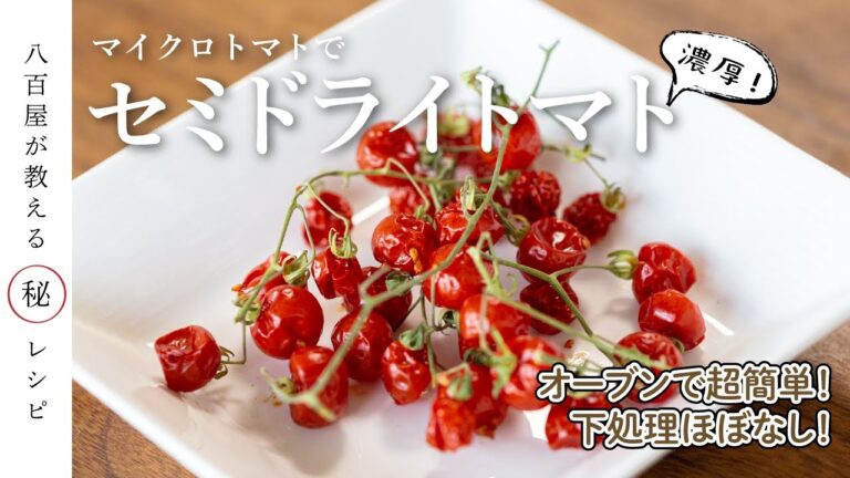 【酒の肴に】下処理不要でオーブン！極小サイズのマイクロトマトの簡単セミドライトマト【八百屋のレシピ】|野菜のつままさ