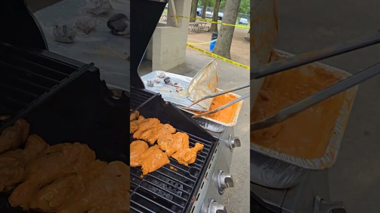 BBQ chicken on grill. #thewellwisher #baliomar #shortsfeed #shorts #2025