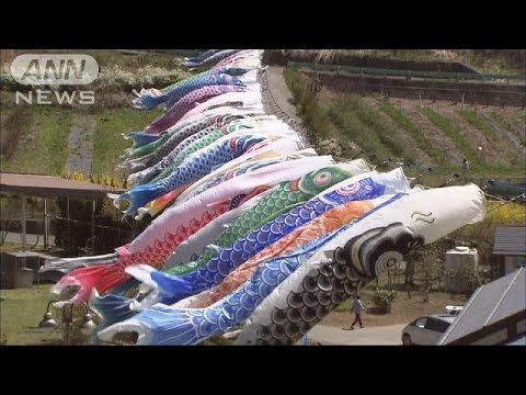 こいのぼり450匹が優雅に・・・空高く山間を泳ぐ　山梨(17/04/30)